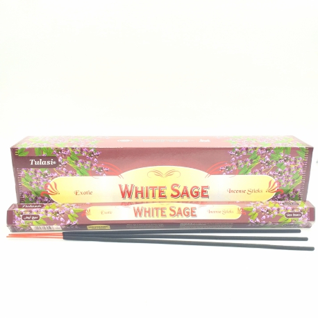 Groothandel - Tulasi Tuinwierook White Sage