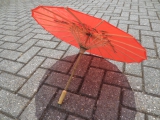 Chinese parasol groot - rood