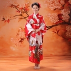 Kleding Groothandel - Import & Export > Japanse Kimono (Lang) Groothandel - Import Export 