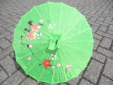 Chinese parasol - groen