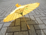 Chinese parasol - geel