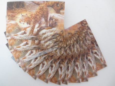 3D Dieren Magneet Kaarten Lynx