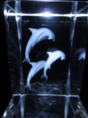 3d laserblok met 3 springende dolfijnen