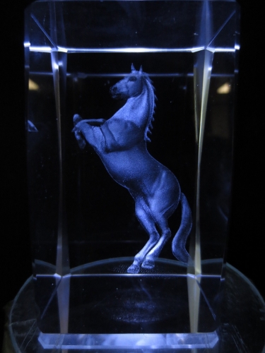 3D Paard Springend