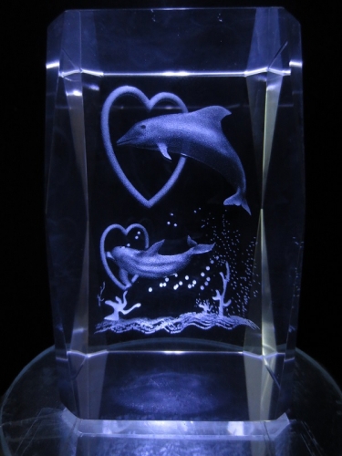 3d laserblok 2 dolfijnen door hart