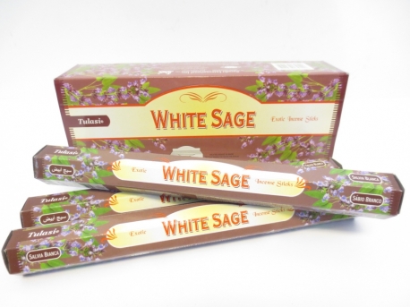Tulasi White Sage