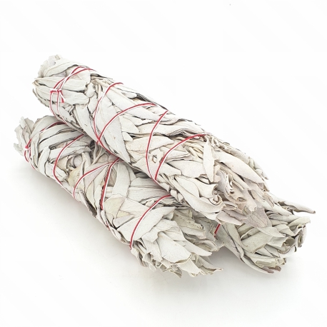 Groothandel - White Sage Smudge 19cm (3 x 70-80 gram) 