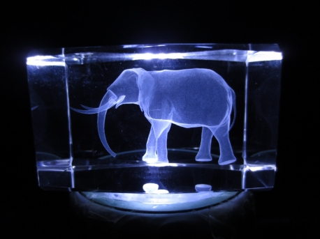 3d laserblok met olifant