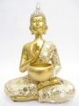 Thaise Boeddha met kom goud